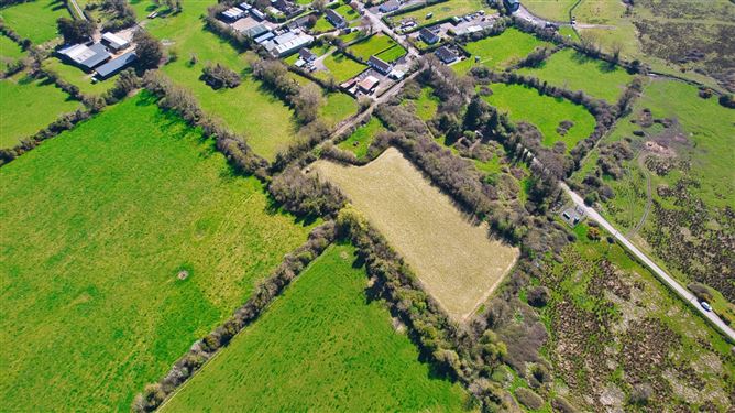 Bog Of The Ring, Balbriggan, County Dublin