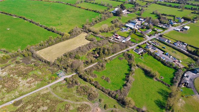 Bog Of The Ring, Balbriggan, County Dublin