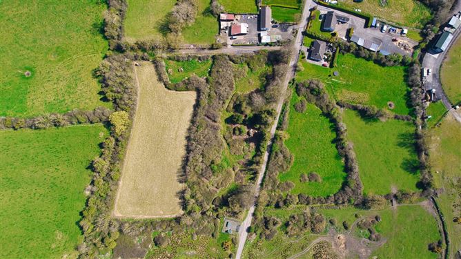 Bog Of The Ring, Balbriggan, County Dublin