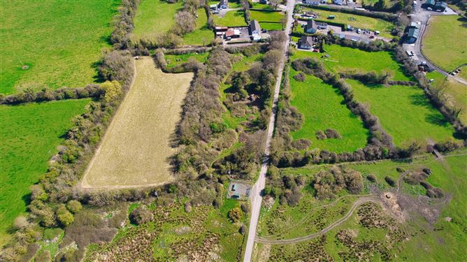 Bog Of The Ring, Balbriggan, County Dublin