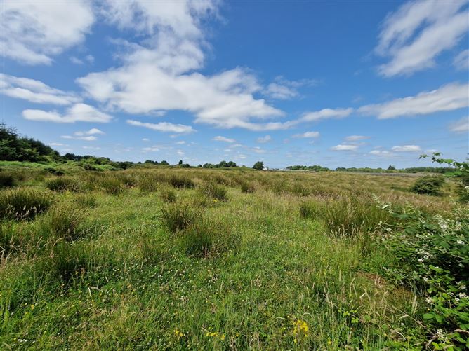 Shanballymore, Dunmore, Co. Galway