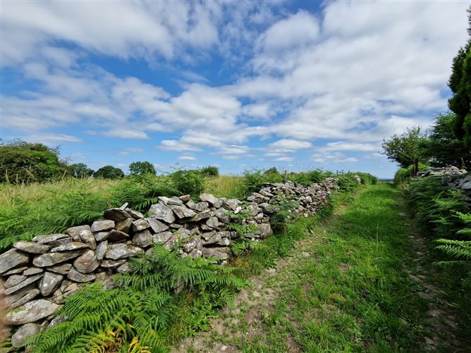 Shanballymore, Dunmore, Co. Galway