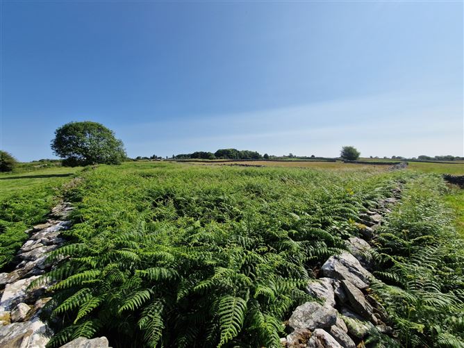 Shanballymore, Dunmore, Co. Galway