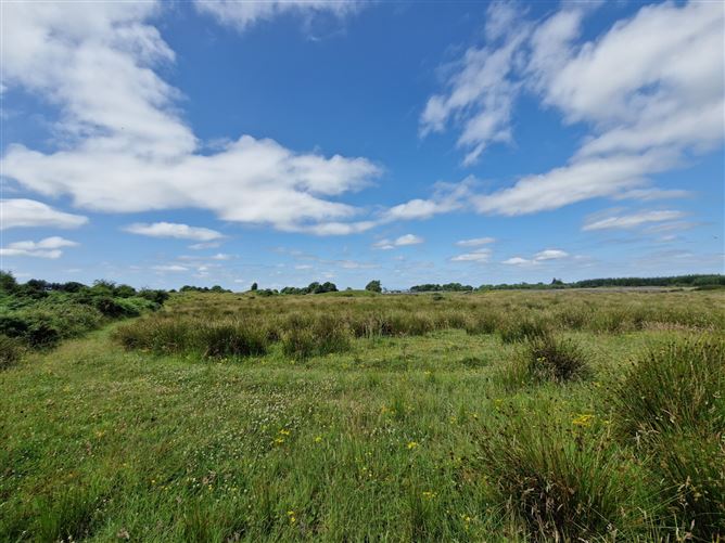 Shanballymore, Dunmore, Co. Galway