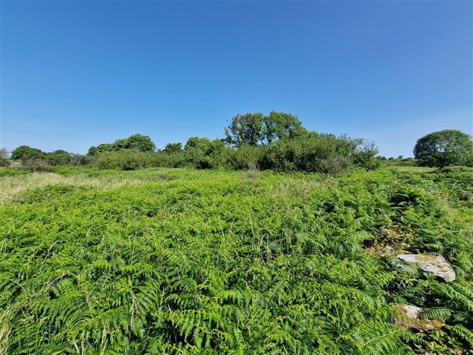 Shanballymore, Dunmore, Co. Galway