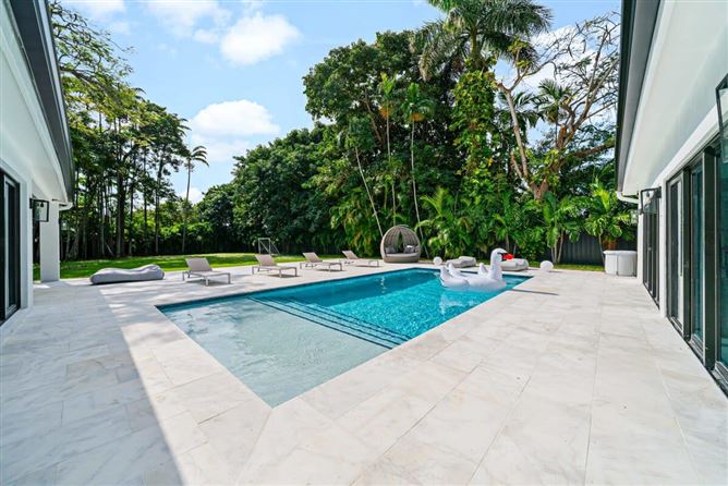 Photo 6 of 10 — Saltwater in Miami,Miami,Florida,USA