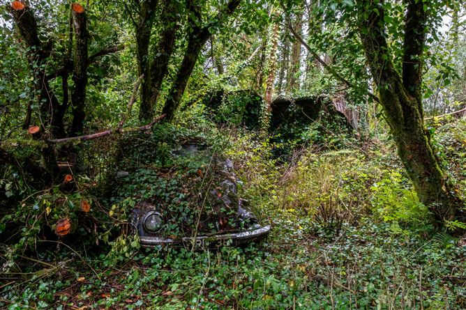 Aughnaglace, Cloone, Co. Leitrim, Eircode Next Door