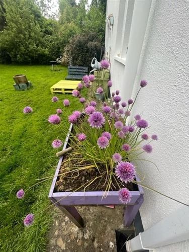 Castleboy, Auburn, Dublin Road, Athlone, Co. Westmeath