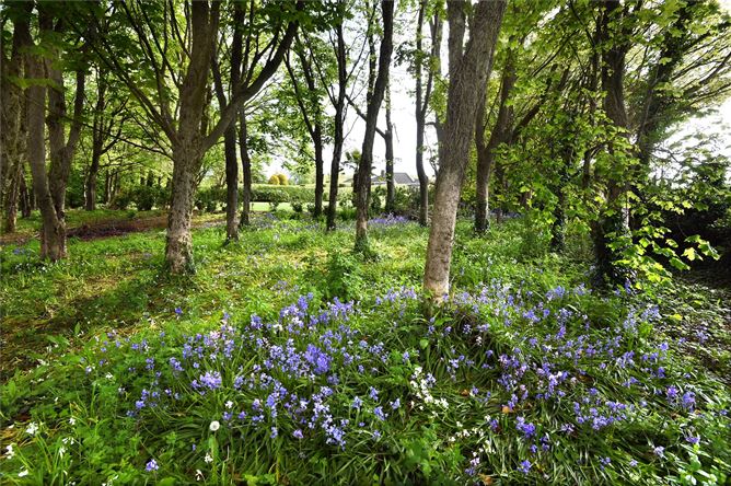 Atherstone, Spur Hill, Doughcloyne, Cork