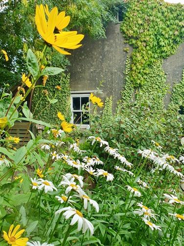 Photo 31 of 39 — Tearmann, Castlekieran, Carnaross, Co. Meath