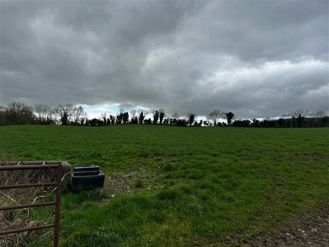 Clomantagh, Barna, Woodsgift, Co. Kilkenny