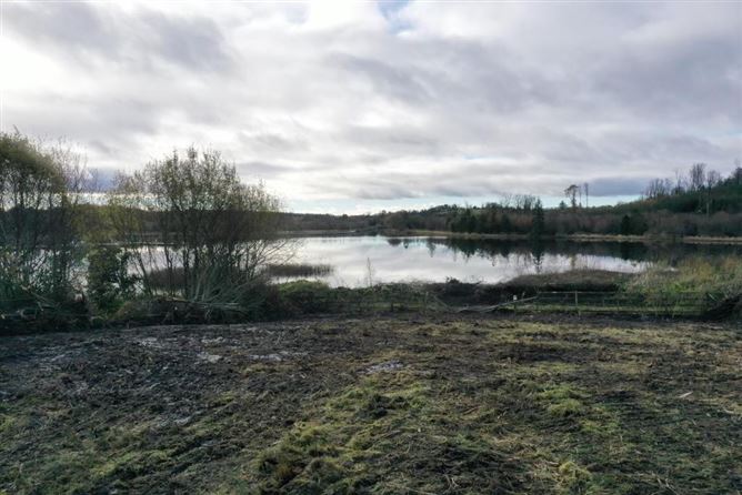 8 Lake View, Acres Avenue, Acres Cove, Drumshanbo, Leitrim