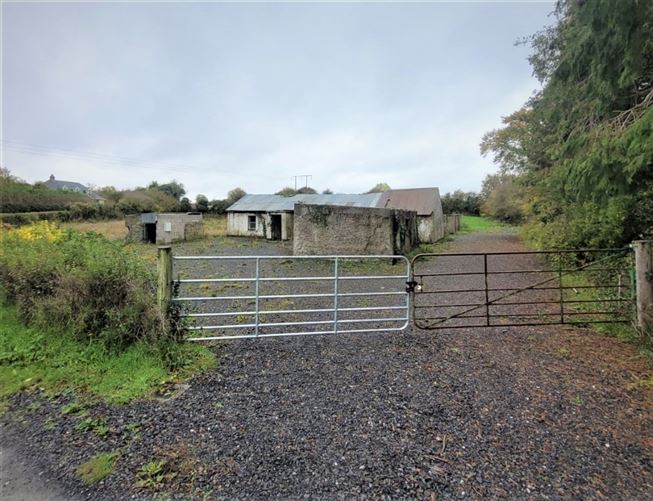 Newtown Donore, Caragh, Kildare Kelly Hudson Properties 4658377 MyHome.ie Commercial