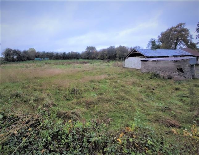 Photo 6 of 8 — Newtown Donore, Caragh, Kildare