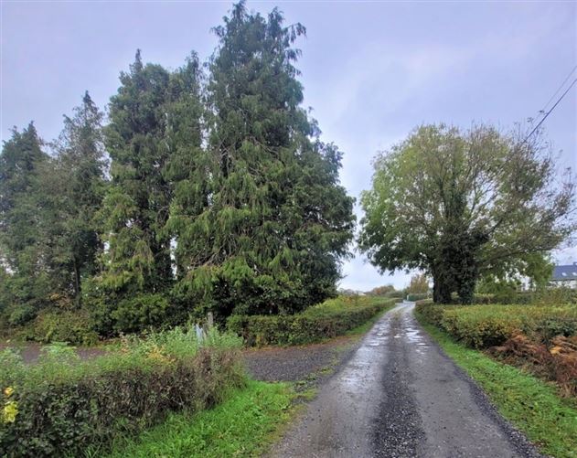 Photo 8 of 8 — Newtown Donore, Caragh, Kildare