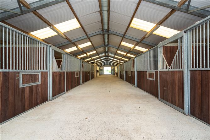 Harcourt Stud, Moortown, Naas, Kildare
