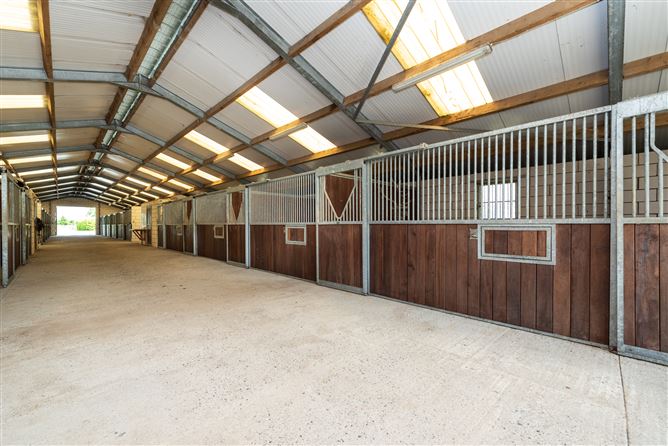 Harcourt Stud, Moortown, Naas, Kildare
