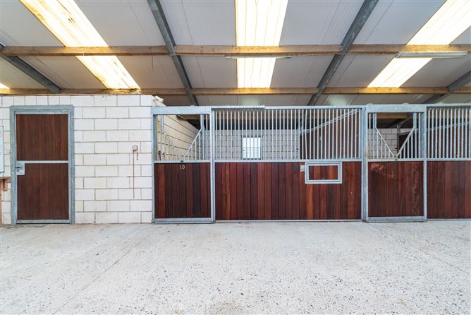 Harcourt Stud, Moortown, Naas, Kildare