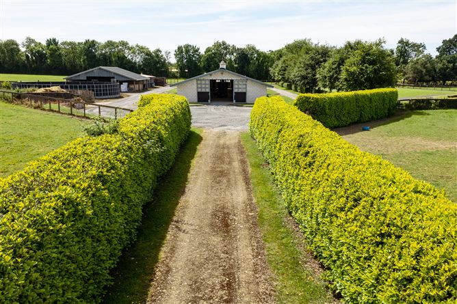 Harcourt Stud, Moortown, Naas, Kildare