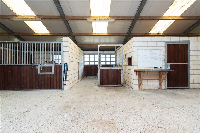 Harcourt Stud, Moortown, Naas, Kildare