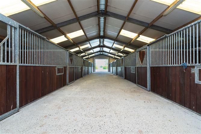 Harcourt Stud, Moortown, Naas, Kildare
