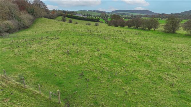 Benison, Castlepollard, Westmeath