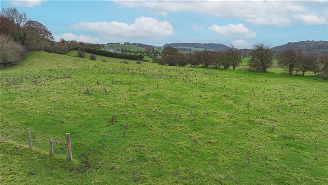 Benison, Castlepollard, Westmeath