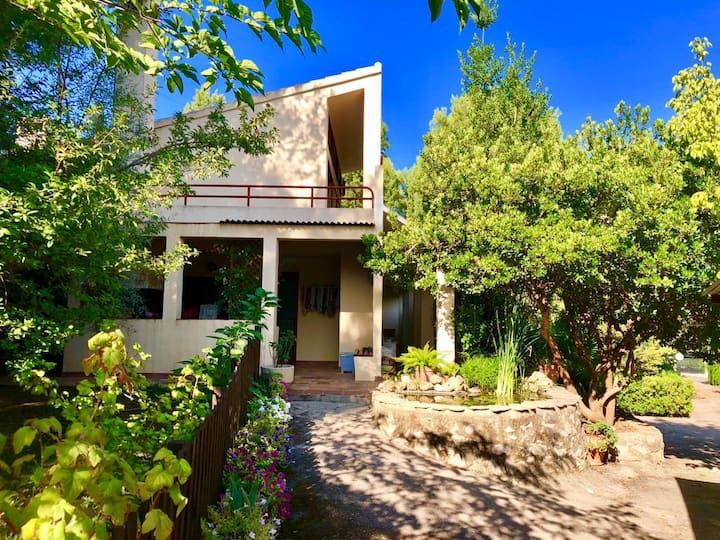 Private, Av. las Moreras, Valencian Community, Alcora