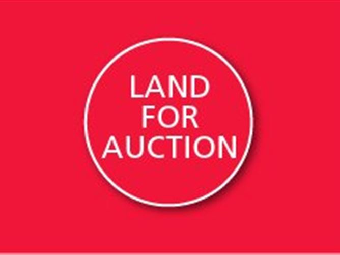 Loch Inse, Aille, Barna, Co. Galway