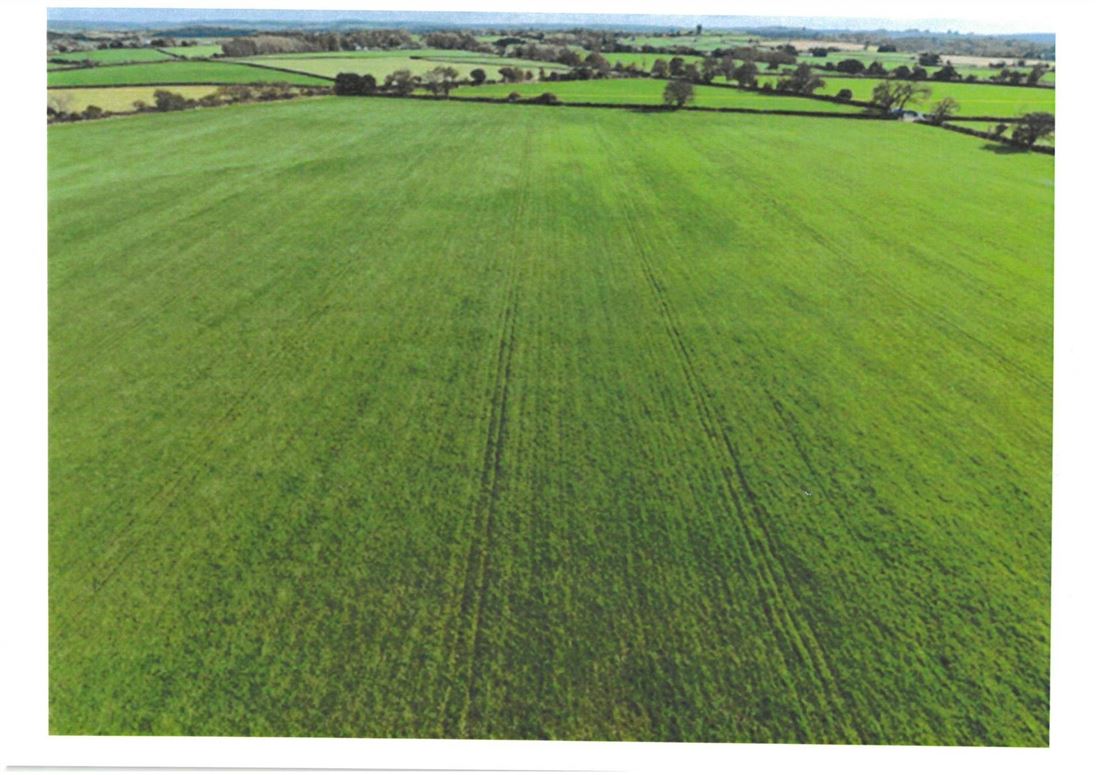C. 38 Acres Meadow, Ballintubber, Castlerea, County Roscommon
