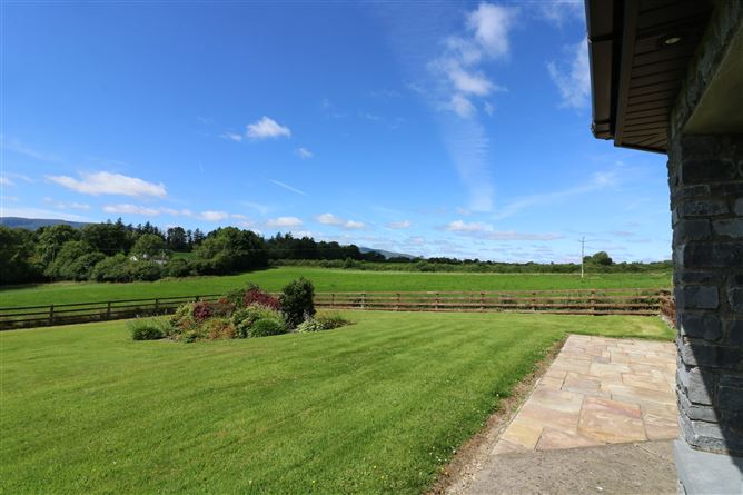 Ballindysert, Carrick Beg, Carrick-on-Suir, Tipperary