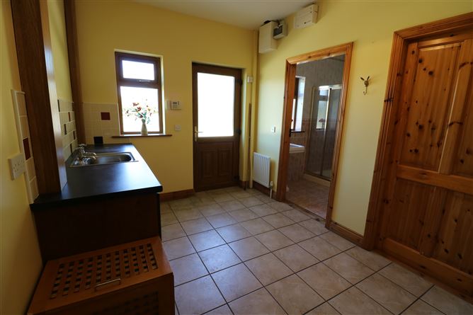 Ballindysert, Carrick Beg, Carrick-on-Suir, Tipperary