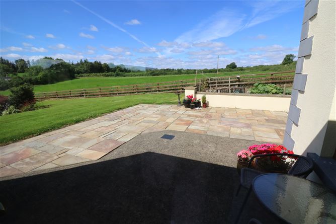 Ballindysert, Carrick Beg, Carrick-on-Suir, Tipperary