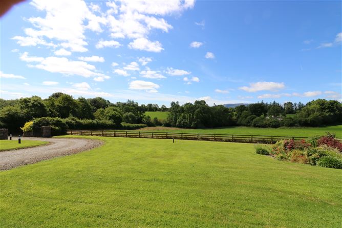 Ballindysert, Carrick Beg, Carrick-on-Suir, Tipperary