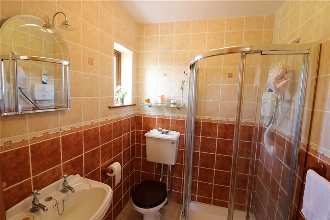 Ballindysert, Carrick Beg, Carrick-on-Suir, Tipperary