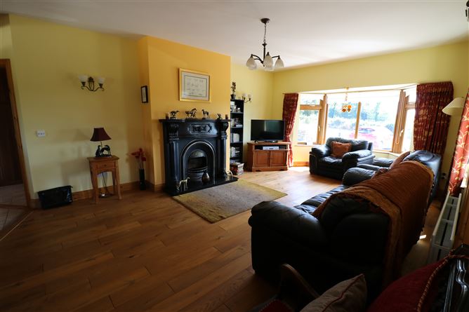 Ballindysert, Carrick Beg, Carrick-on-Suir, Tipperary