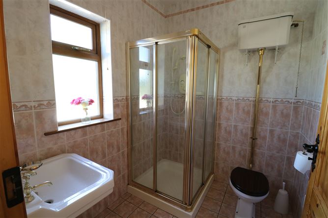 Ballindysert, Carrick Beg, Carrick-on-Suir, Tipperary