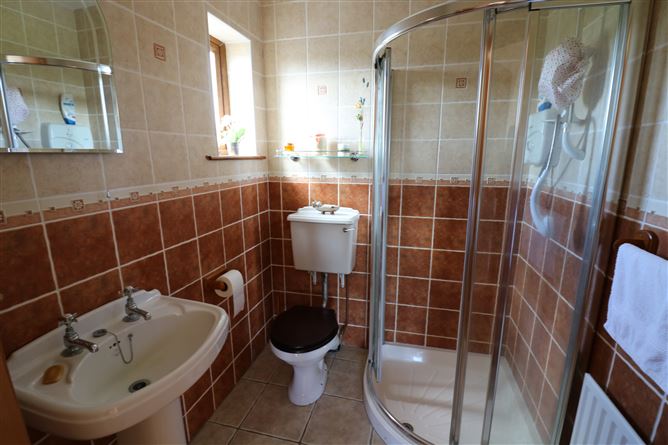 Ballindysert, Carrick Beg, Carrick-on-Suir, Tipperary