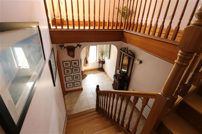 Ballindysert, Carrick Beg, Carrick-on-Suir, Tipperary