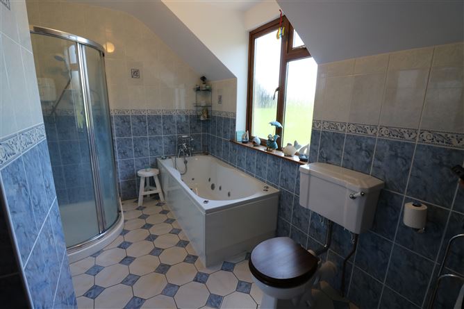 Ballindysert, Carrick Beg, Carrick-on-Suir, Tipperary