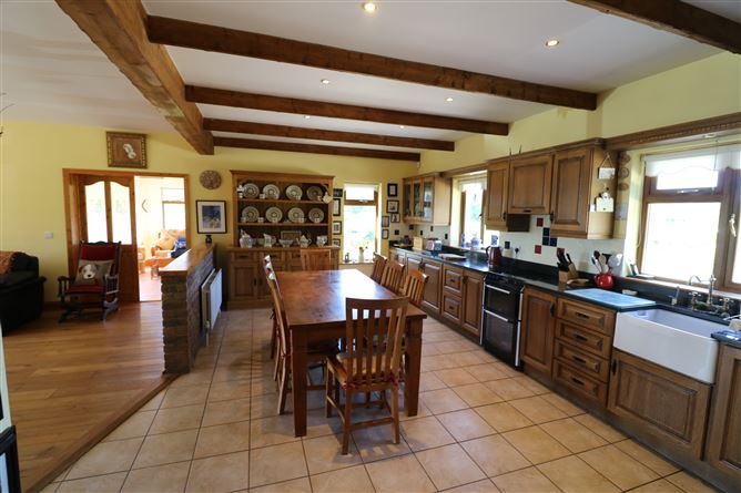 Ballindysert, Carrick Beg, Carrick-on-Suir, Tipperary