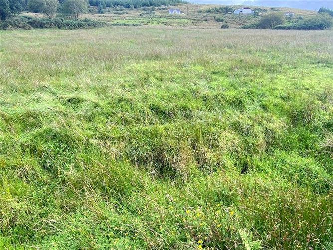 Kinletter, Ballybofey, Co. Donegal, DLBOFEY