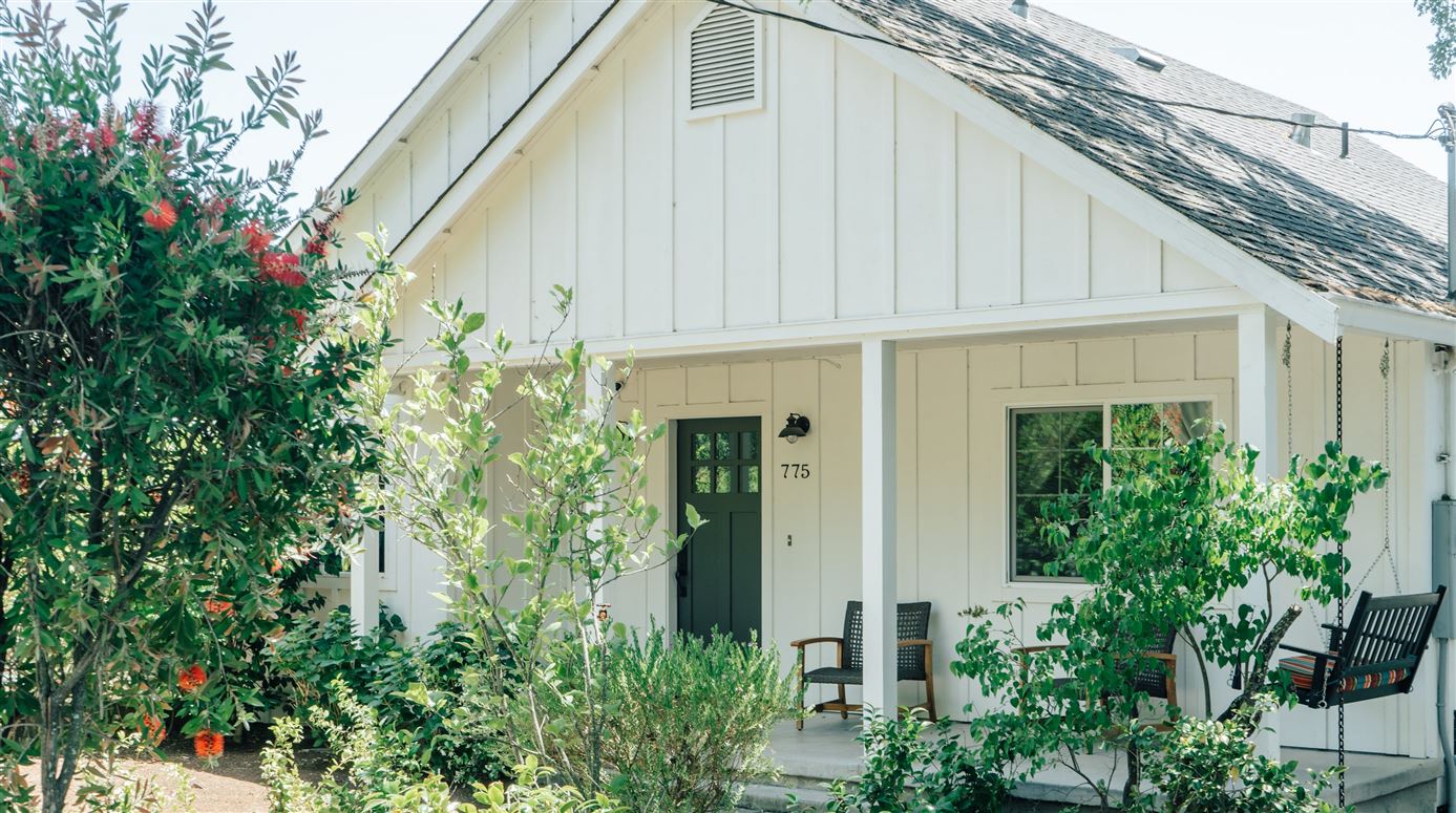 Amidst The Vines,Sonoma,California,USA