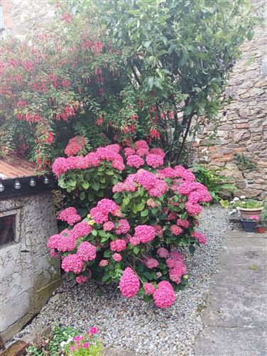 Photo 23 of 26 — 14 Lower John Street, Wexford Town