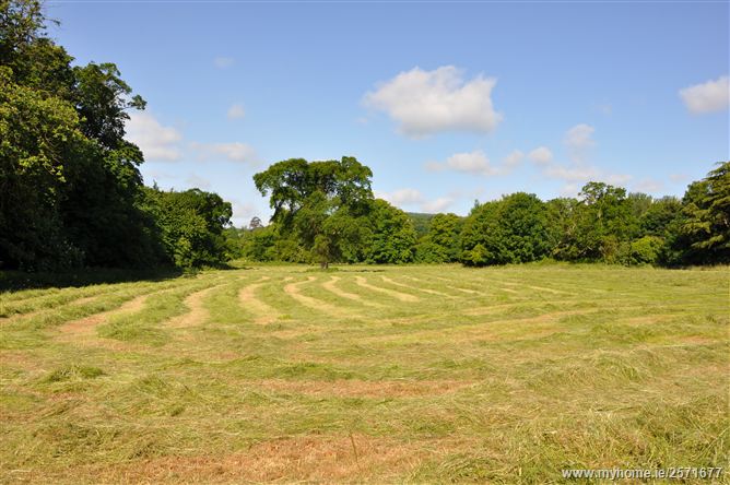 The Aske, Old Bray Road, Shankill, Co Dublin - with about 11 acres