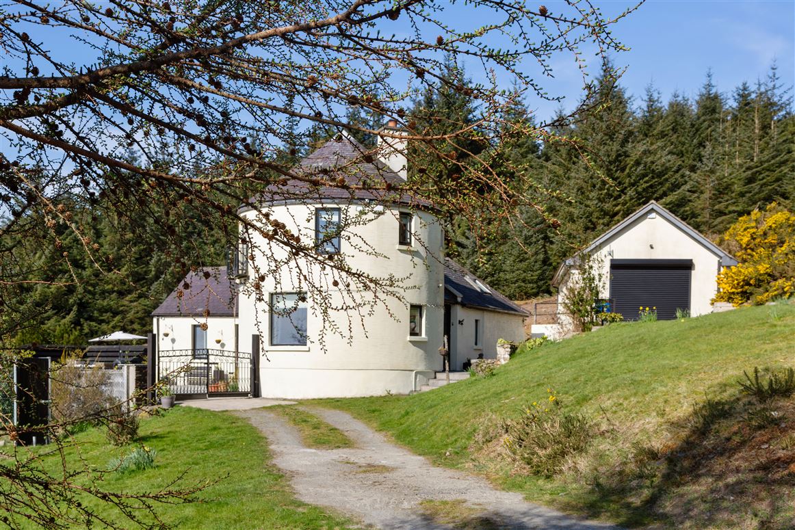 Ballinastoe Wood, Ballinastoe, Roundwood, Wicklow