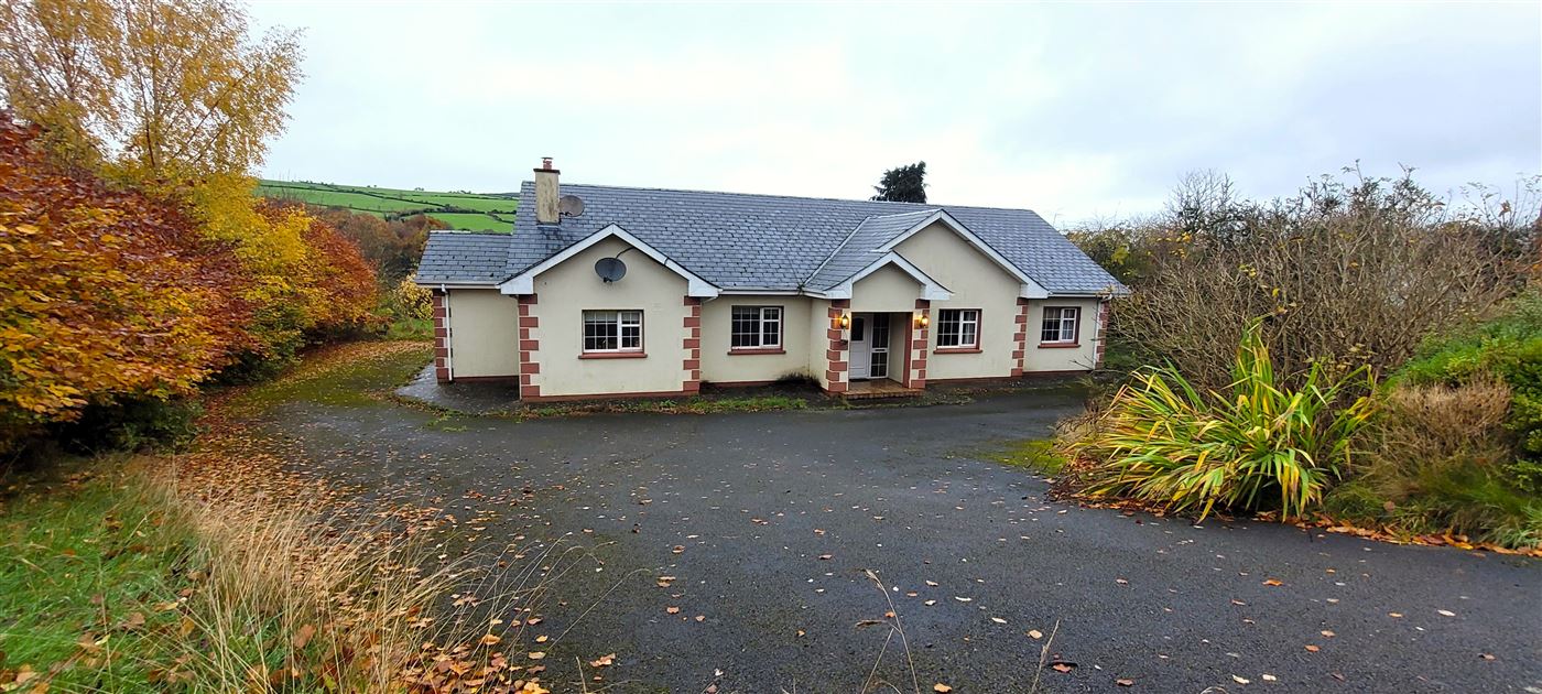 'Rio' Shroughan, Baltinglass, Wicklow