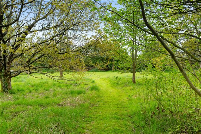 Photo 13 of 24 — Ballygarron, Kilmuckridge, Gorey, County Wexford