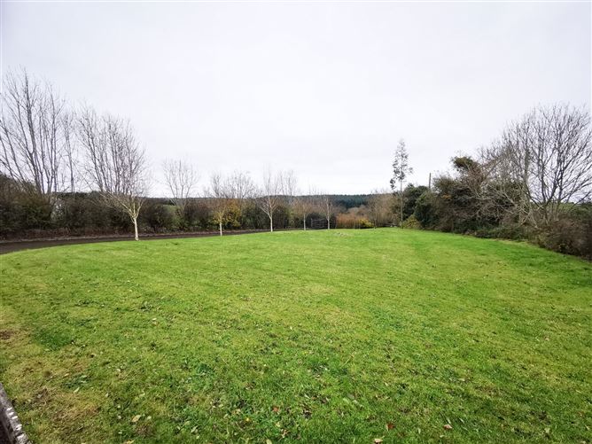 Kinaffe, Swinford, Co. Mayo