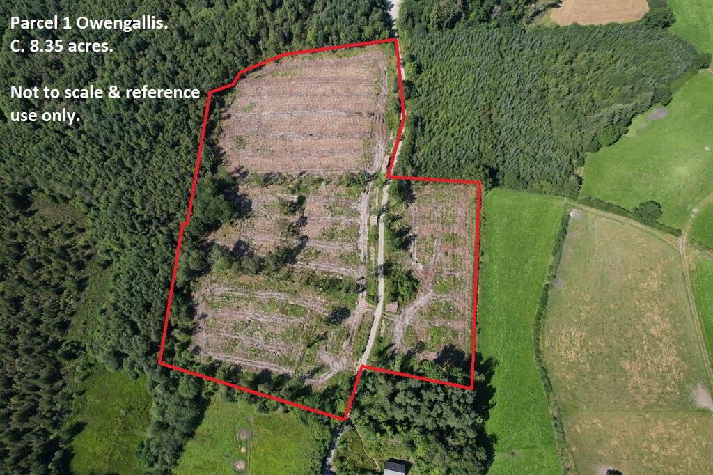 Owengallis And Boley, Bawnboy, Cavan
